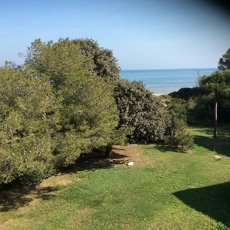 Entre mer et piscine Hyères Extérieur photo